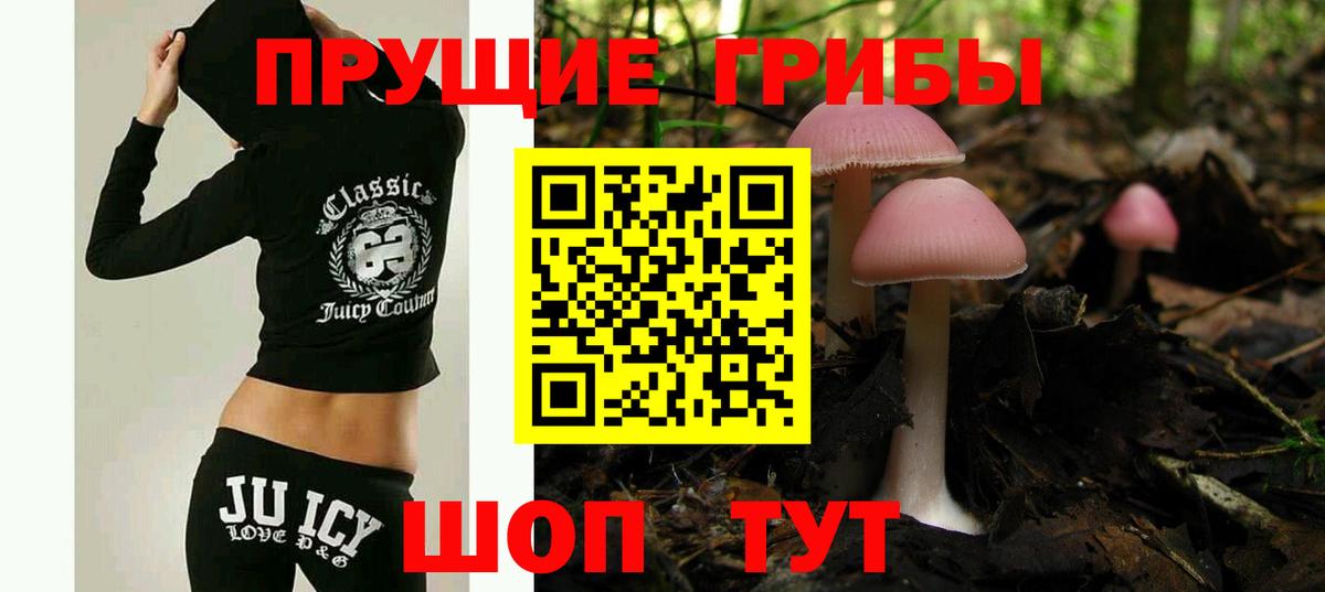 Галлюциногенные грибы GOLDEN TEACHER  Вход с VPN  Уссурийск  купить наркоту  Псилоцибиновые грибы мухоморы 